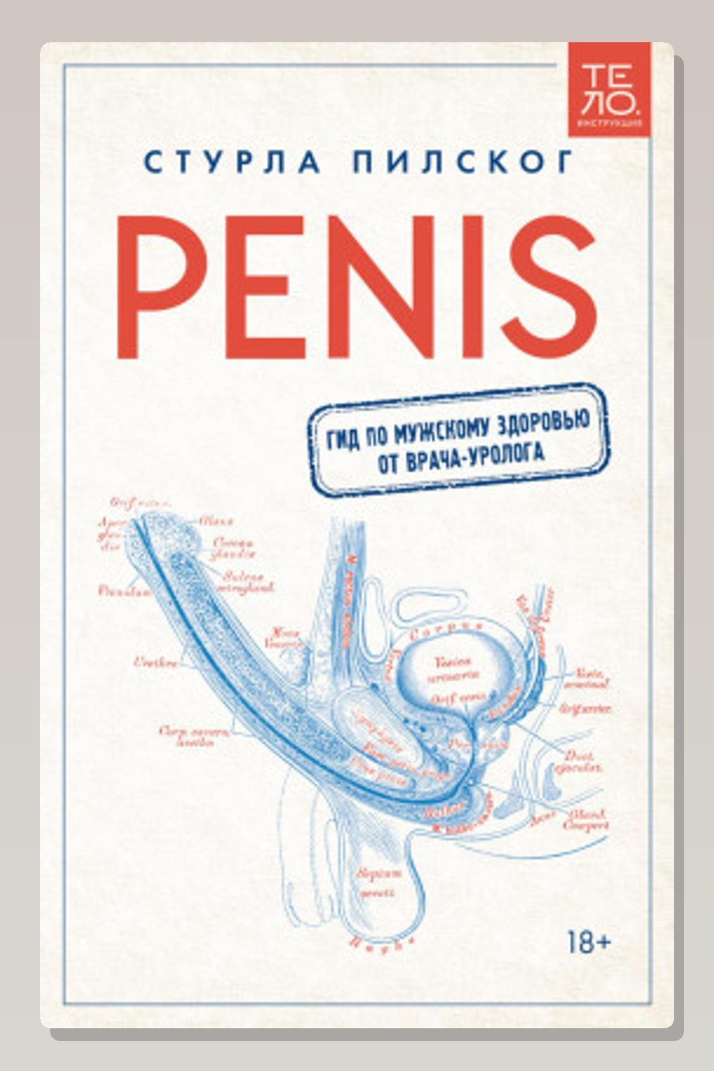Penis. Гид по мужскому здоровью от врача-уролога