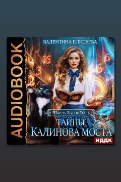 Обложка: Школа Лысой Горы. Тайны Калинова моста — Валентина Елисеева