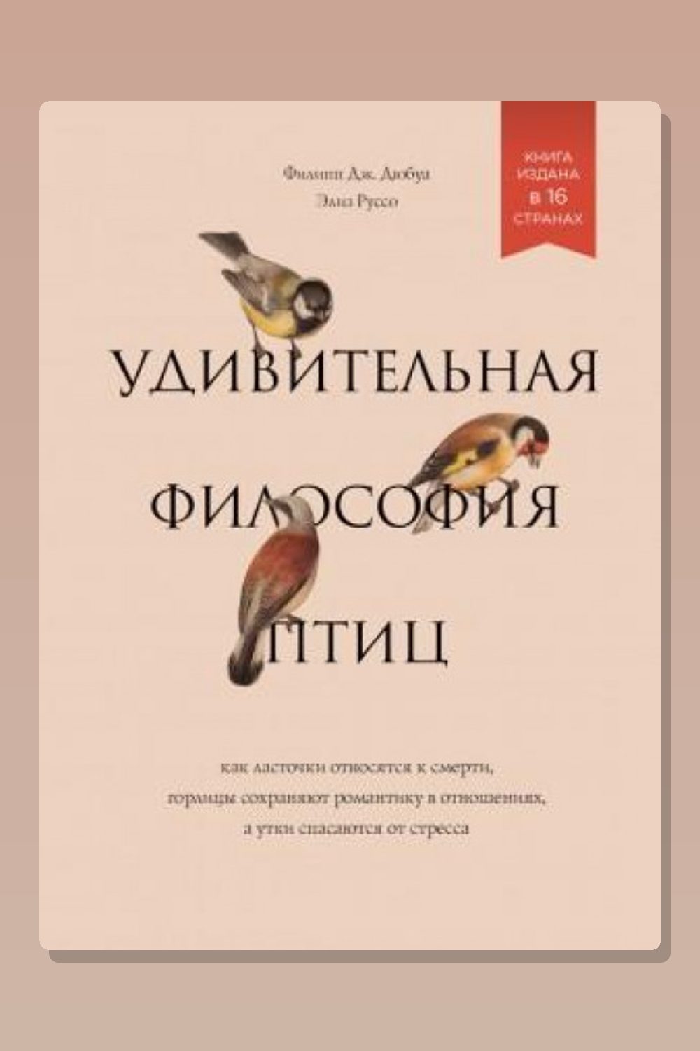 Удивительная философия птиц. Как ласточки относятся к смерти, горлицы сохраняют романтику в отношениях, а утки спасаются от стресса