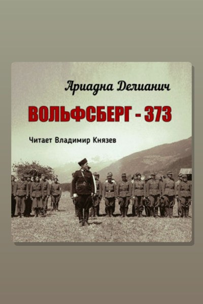 Вольфсберг-373