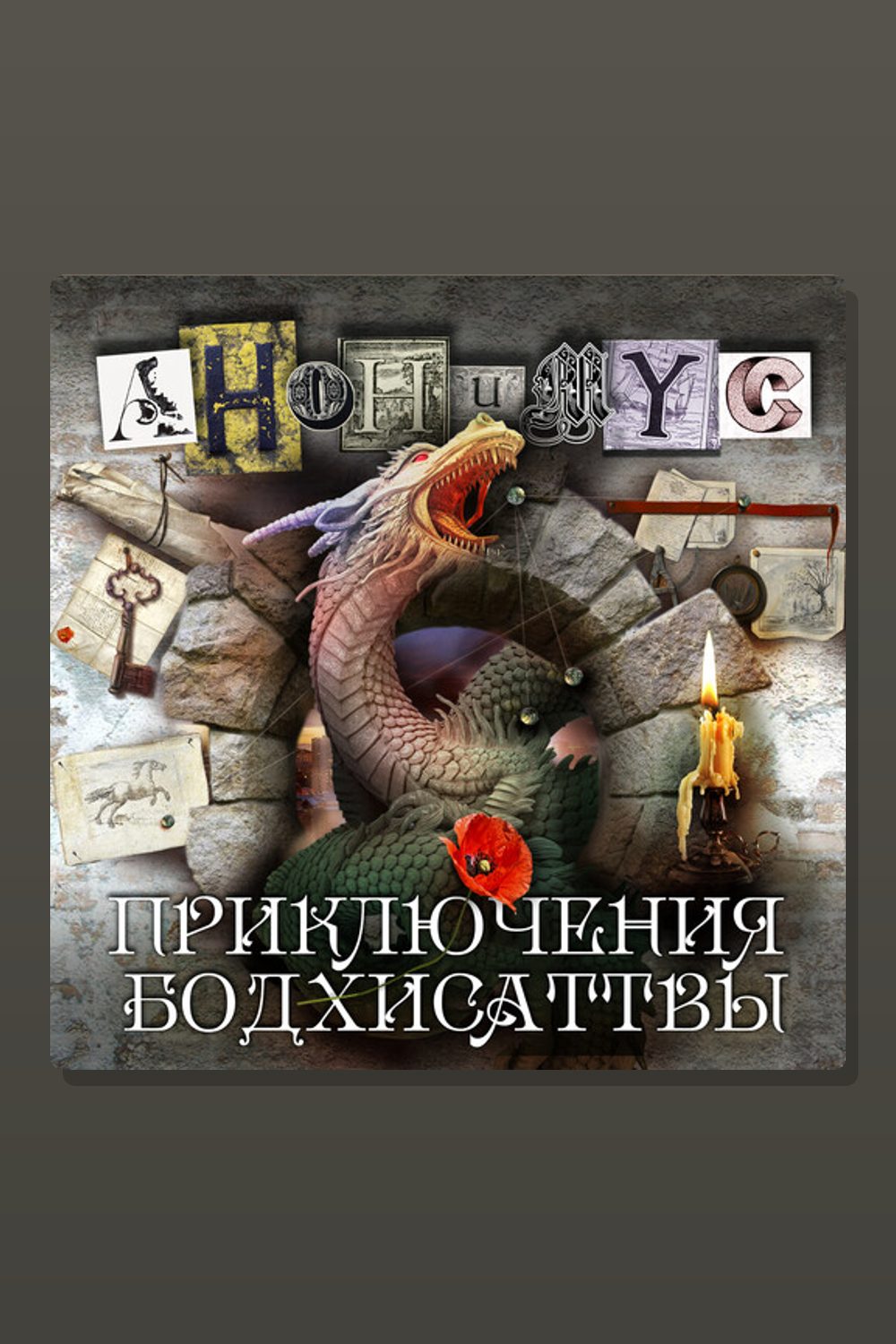 Обложка: Приключения бодхисаттвы — АНОНИМYС