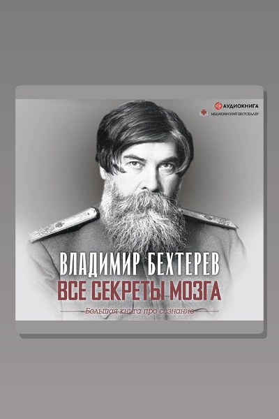 Все секреты мозга. Большая книга про сознание