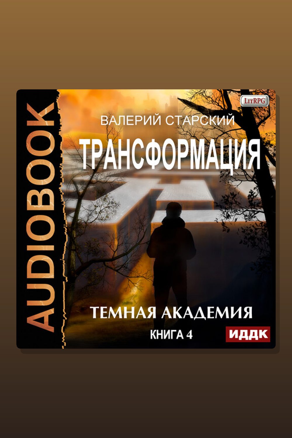 Обложка: Трансформация. Книга 4. Темная академия — Валерий Старский