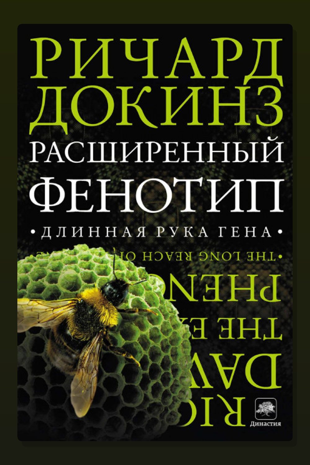 Расширенный фенотип: длинная рука гена