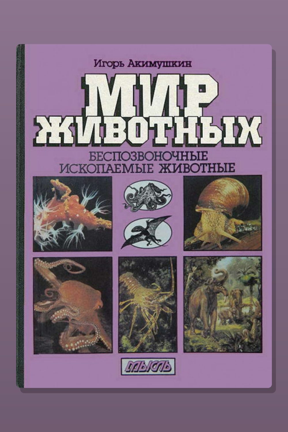 Беспозвоночные. Ископаемые животные