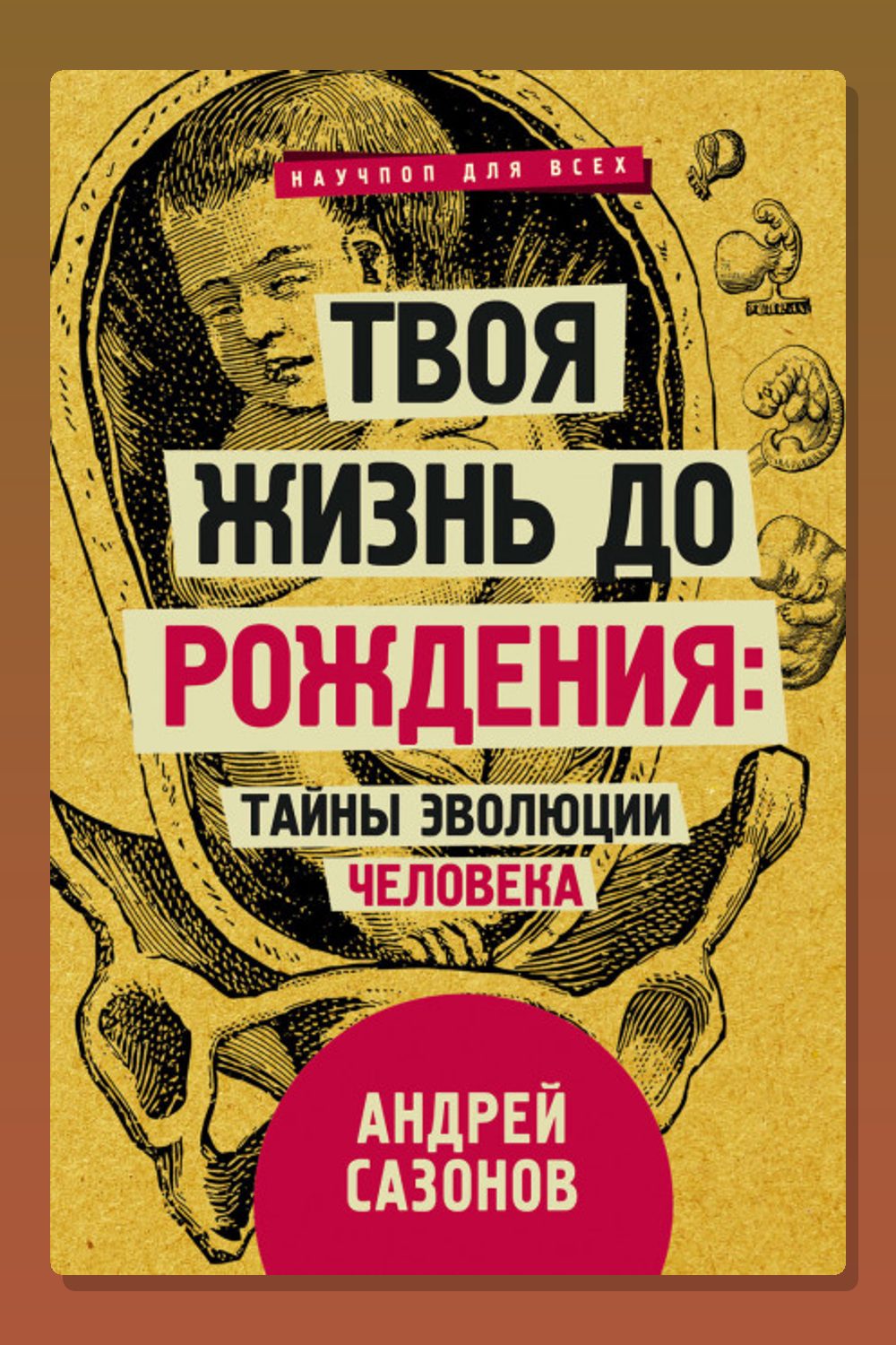 Твоя жизнь до рождения: тайны эволюции человека