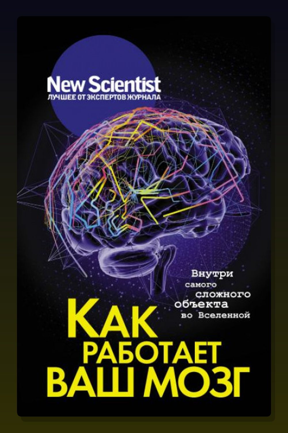 Как работает ваш мозг
