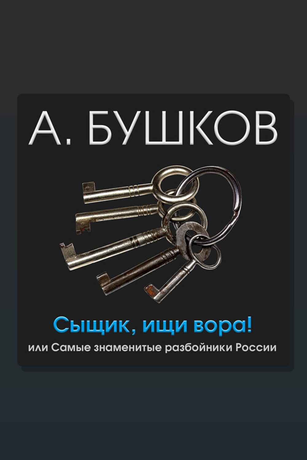 Обложка: Сыщик, ищи вора! Или самые знаменитые разбойники России — Александр Бушков