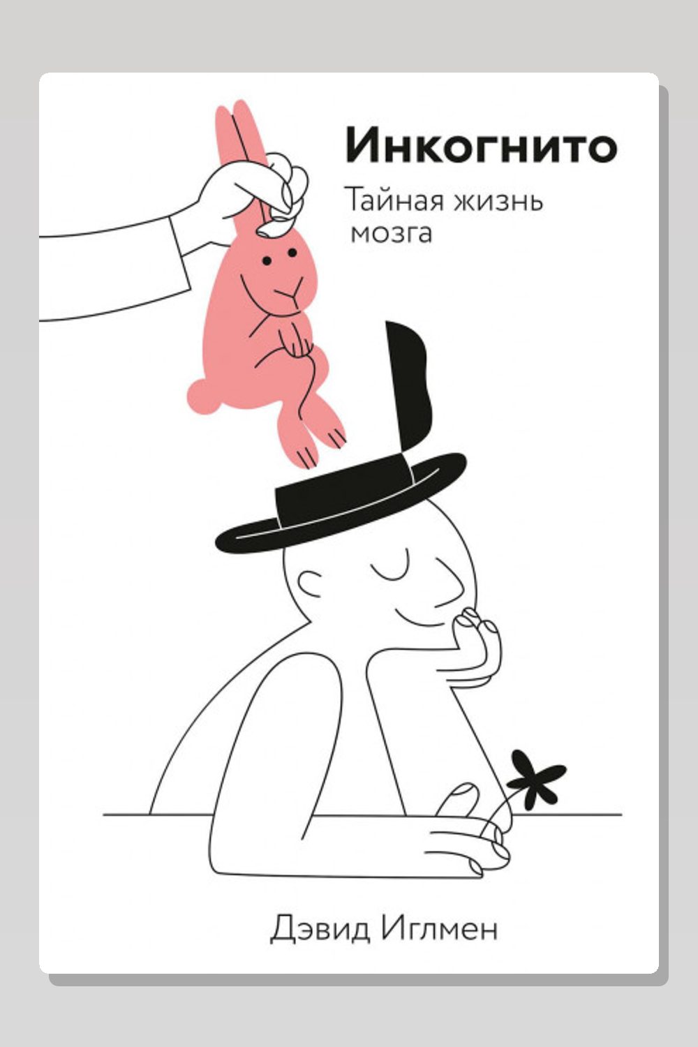 Инкогнито. Тайная жизнь мозга