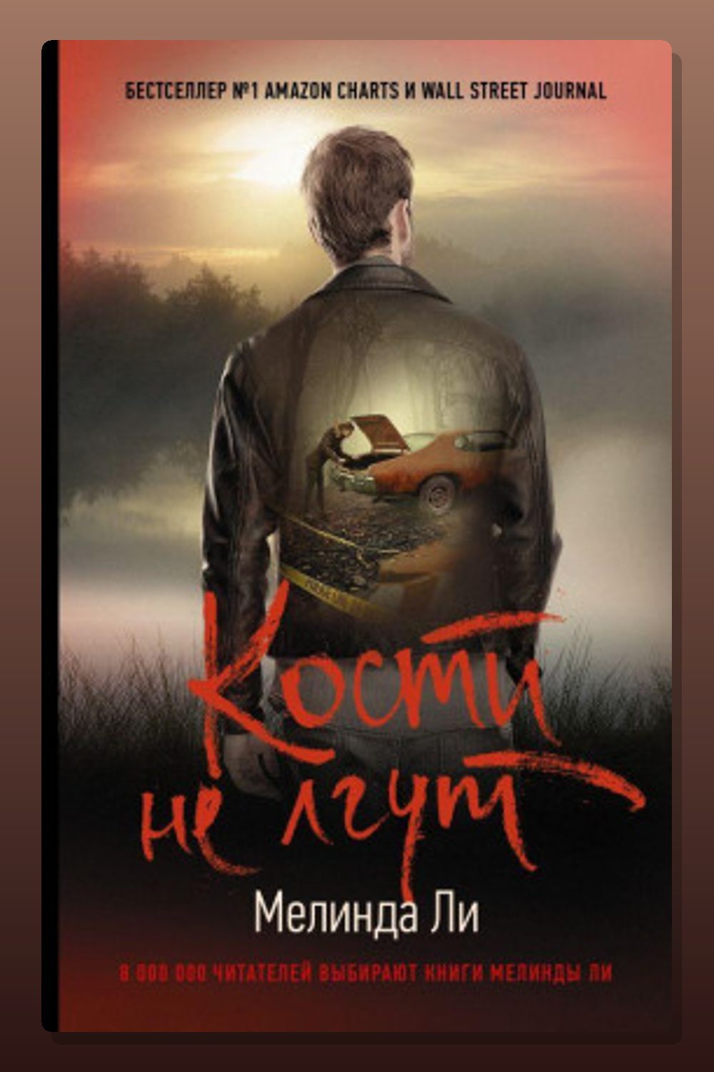 Обложка: Кости не лгут — Мелинда Ли