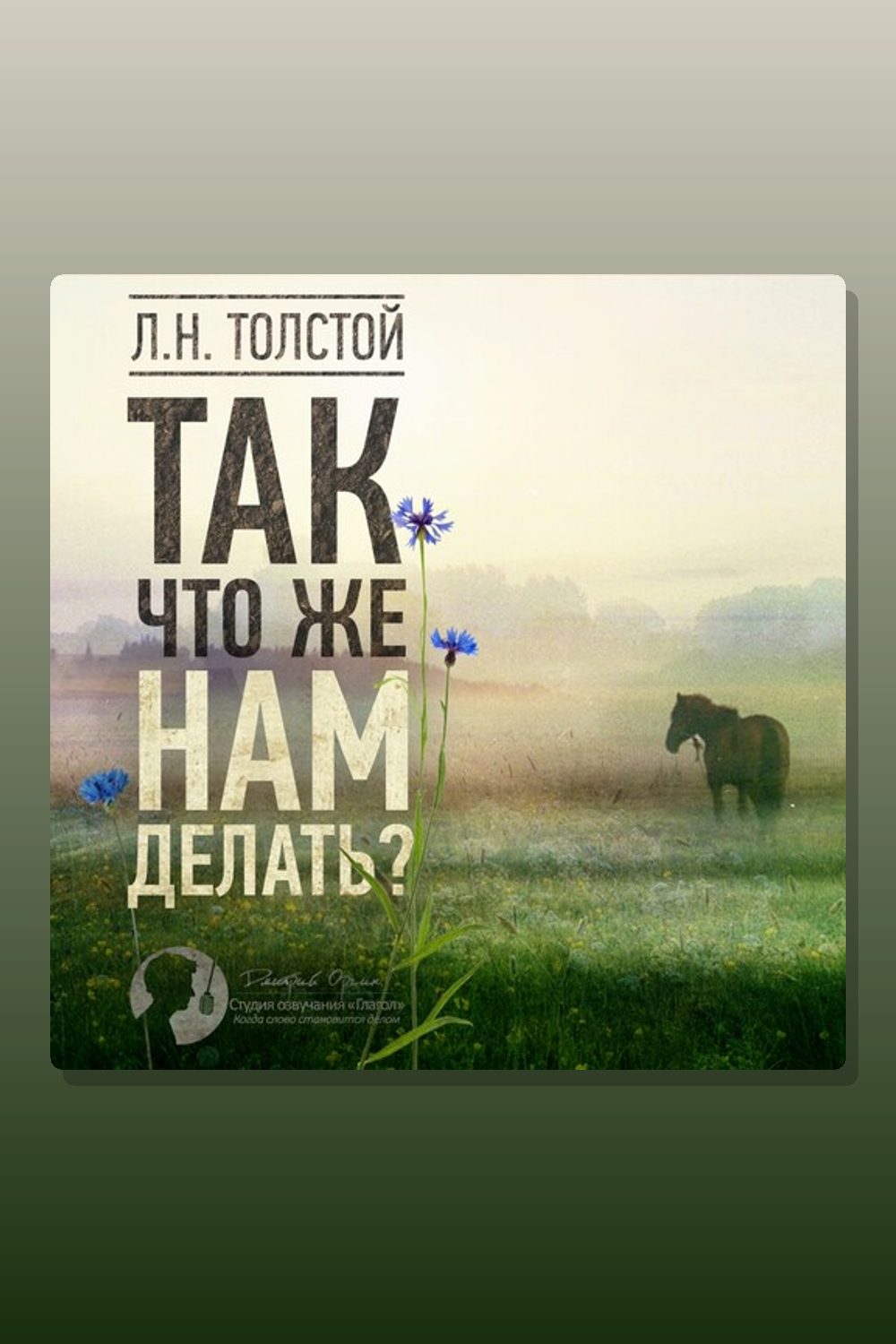 Обложка: Так что же нам делать? — Лев Толстой