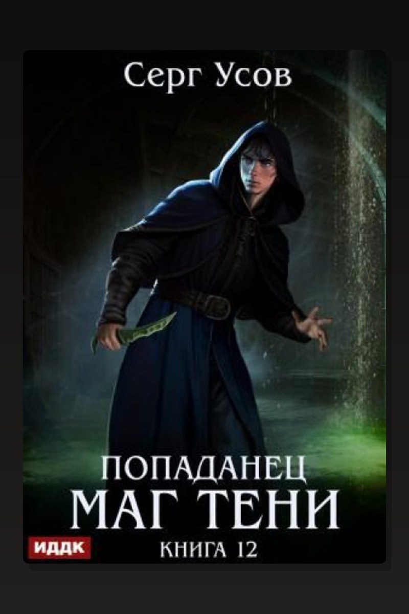 Попаданец. Маг Тени. Книга 12