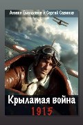 Обложка: Крылатая война. 1915. Книга 1 — Антон Емельянов