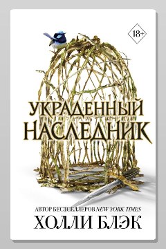 Обложка: Украденный наследник — Холли Блэк