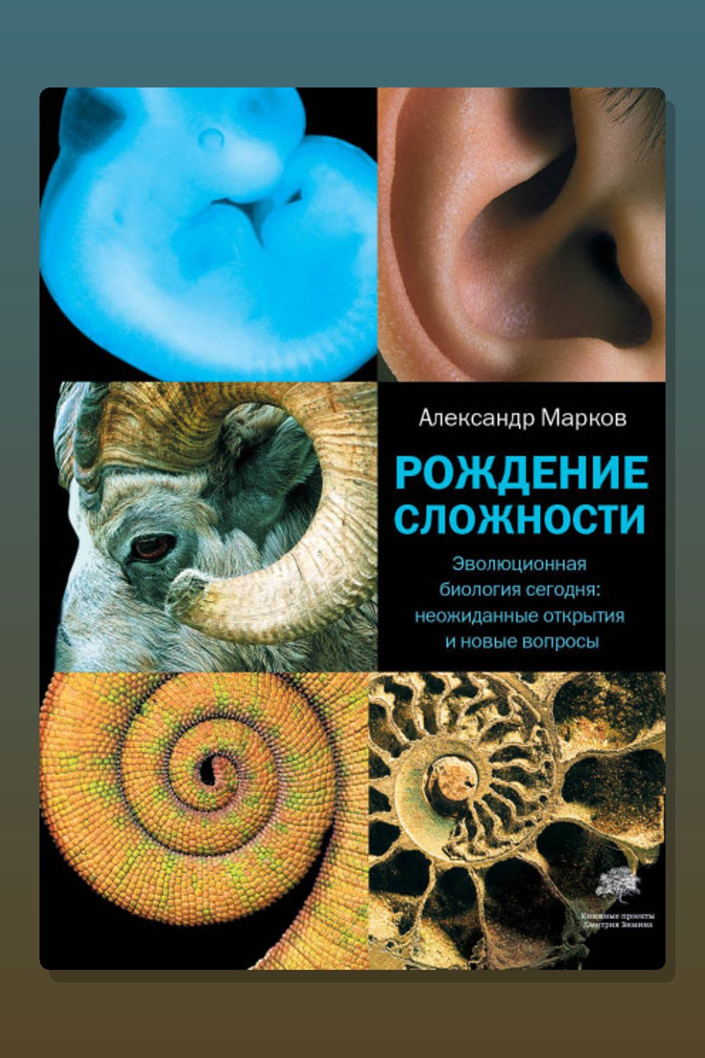 Рождение сложности