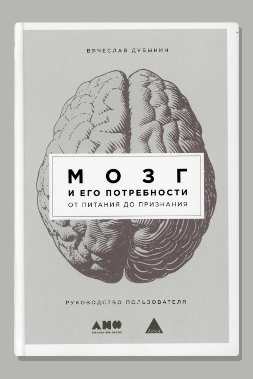 Мозг и его потребности. От питания до признания