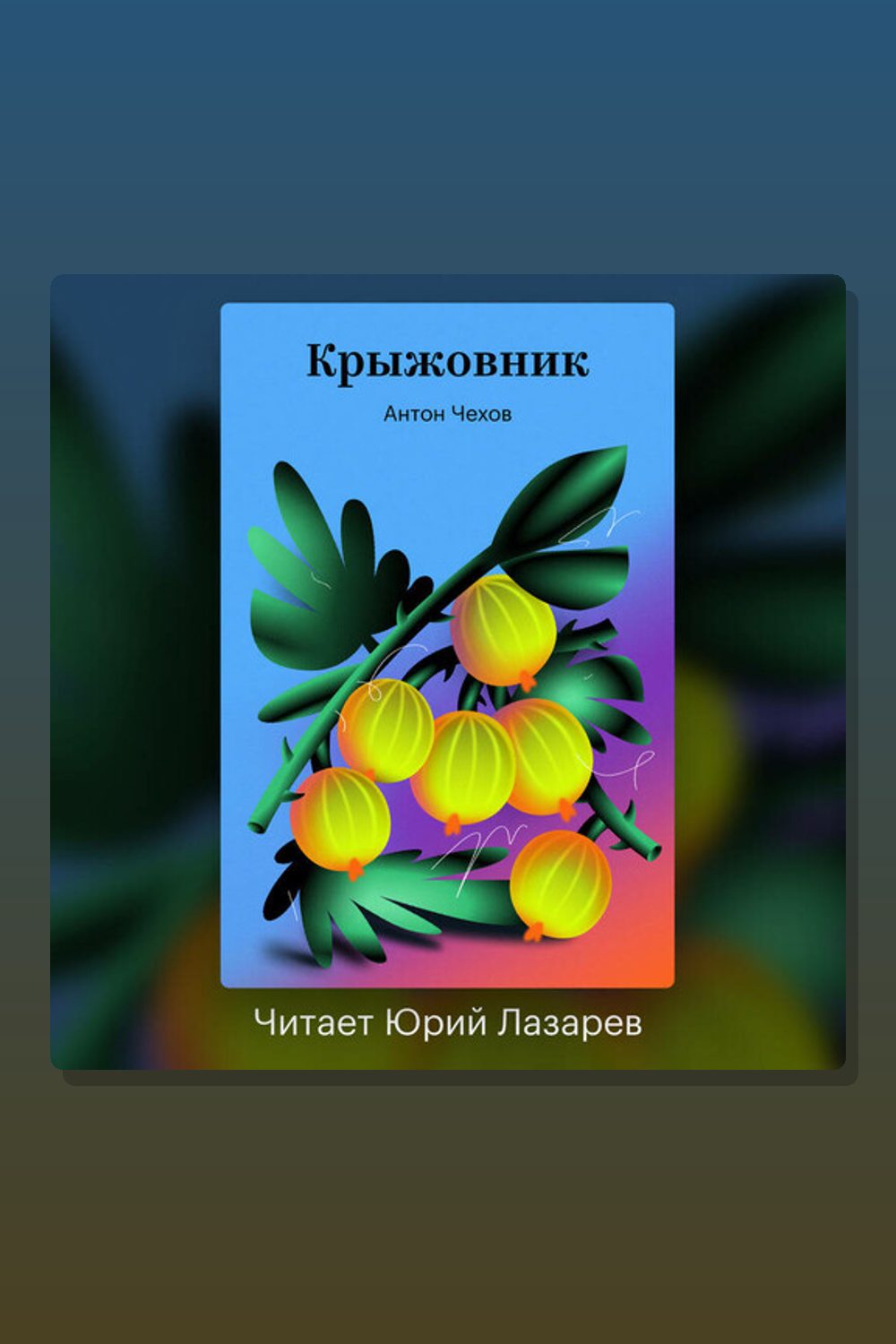 Крыжовник