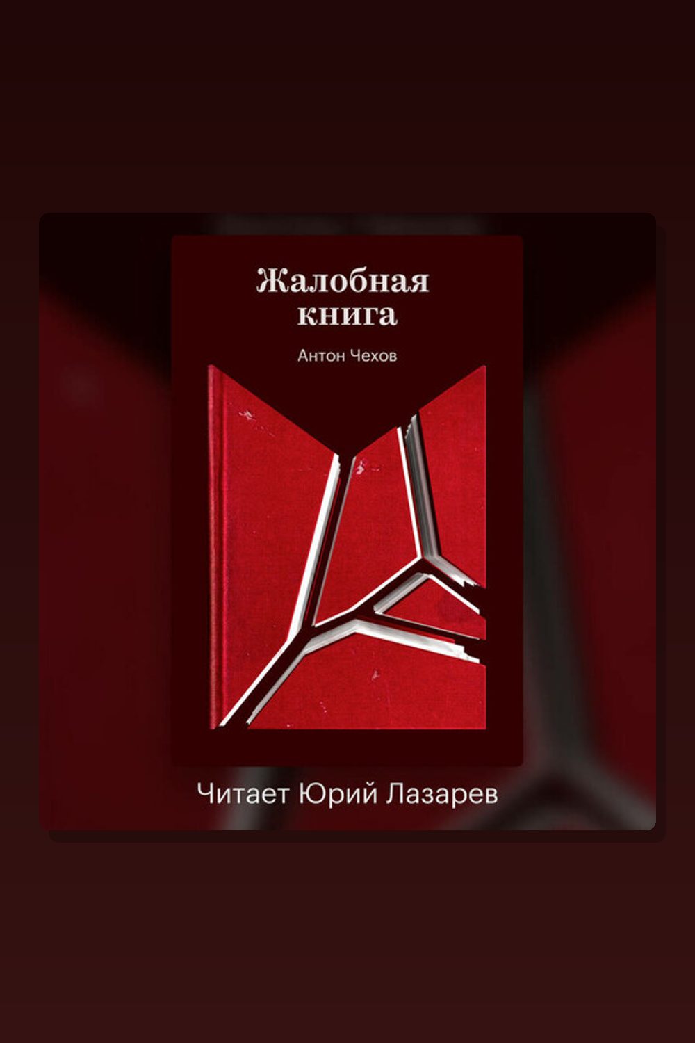 Жалобная книга