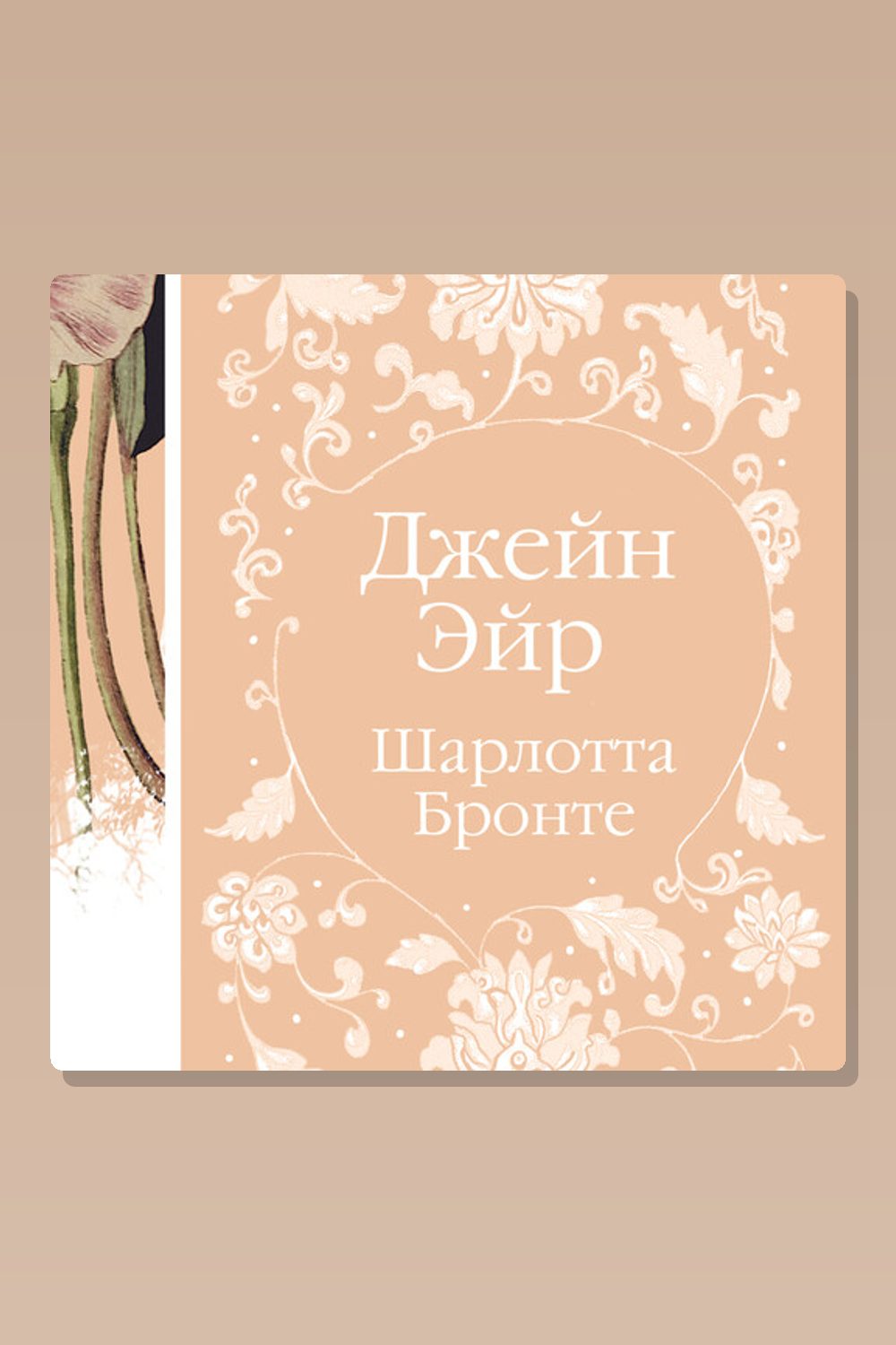 Джейн Эйр