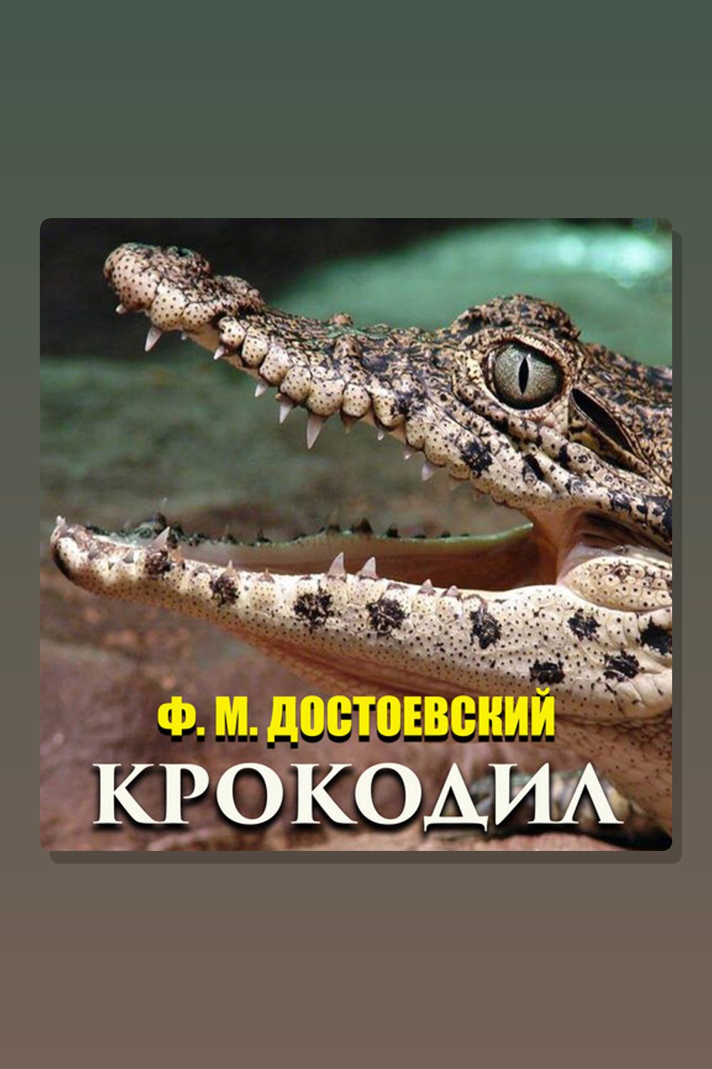 Крокодил