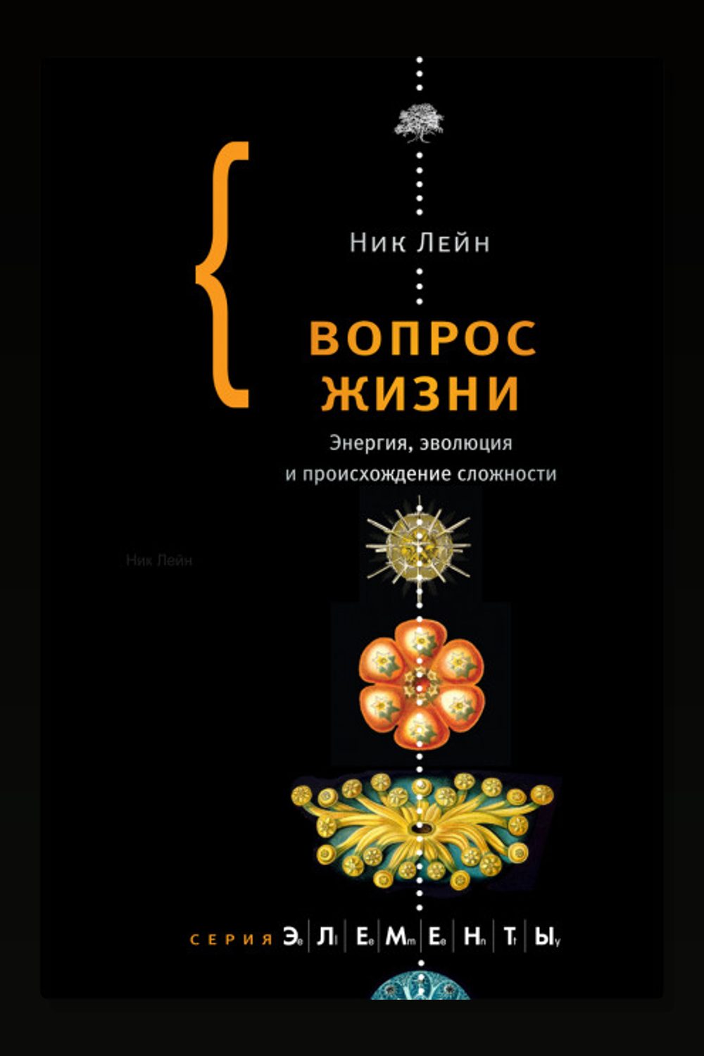 Вопрос жизни. Энергия, эволюция и происхождение сложности