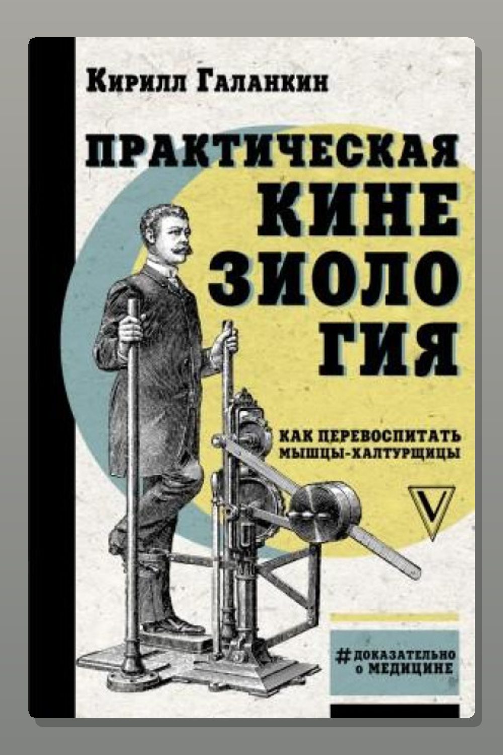 Практическая кинезиология. Как перевоспитать мышцы-халтурщицы