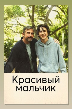 Обложка: Красивый мальчик. Правдивая история отца, который боролся за сына — Шефф Дэвид