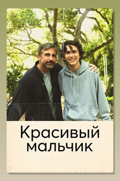 Красивый мальчик. Правдивая история отца, который боролся за сына