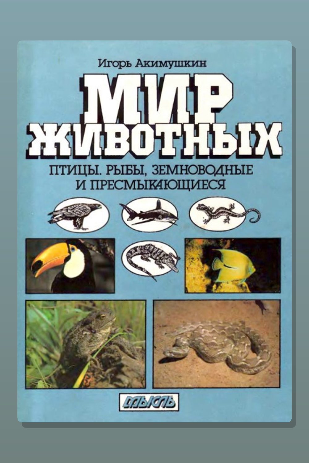 Обложка: Птицы. Рыбы. Земноводные и пресмыкающиеся — Игорь Акимушкин