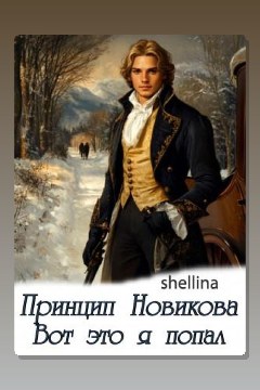 Обложка: Принцип Новикова. Вот это я попал — О.Шеллина (shellina)