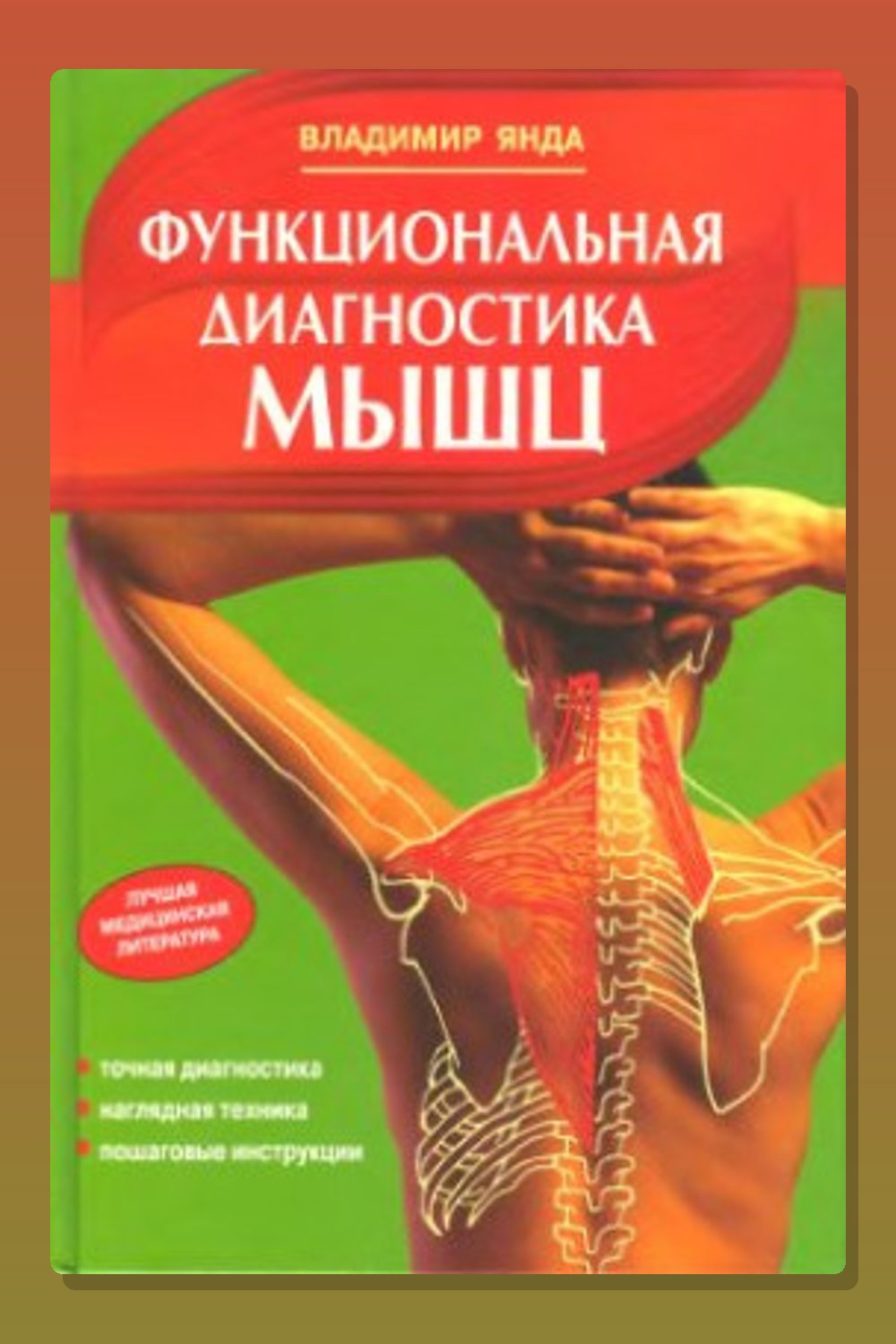Функциональная диагностика мышц
