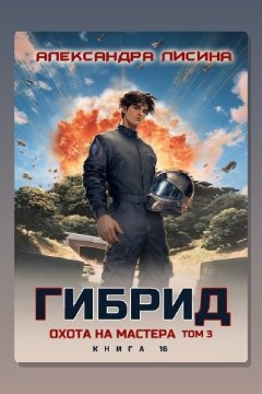 Обложка: Гибрид. Книга 16. Охота на мастера. Том 3 — Александра Лисина