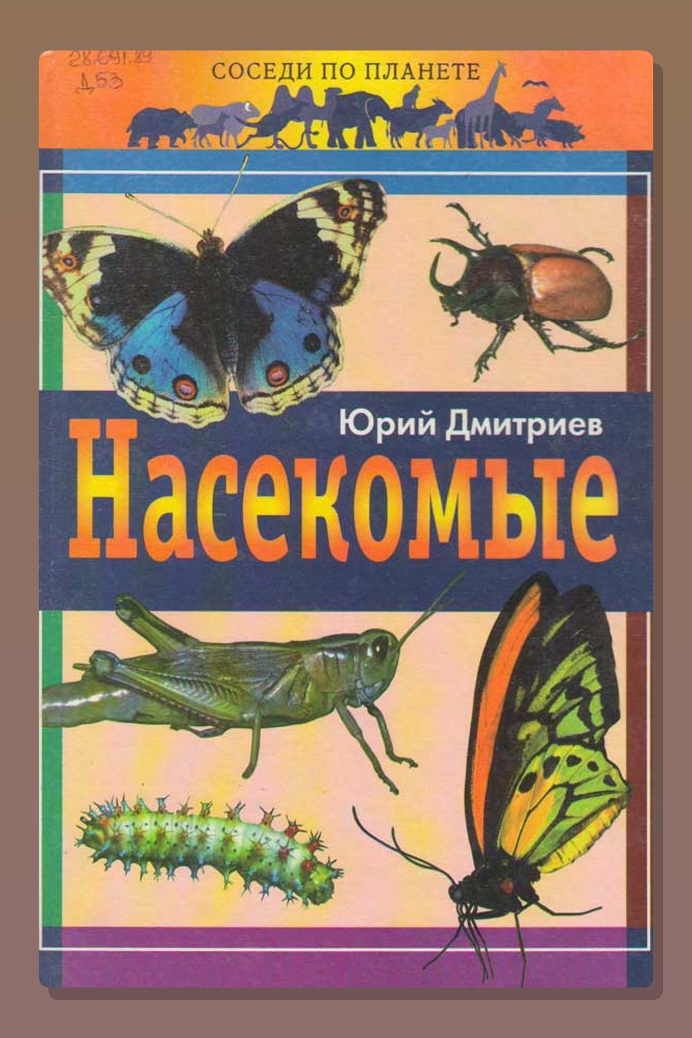 Насекомые