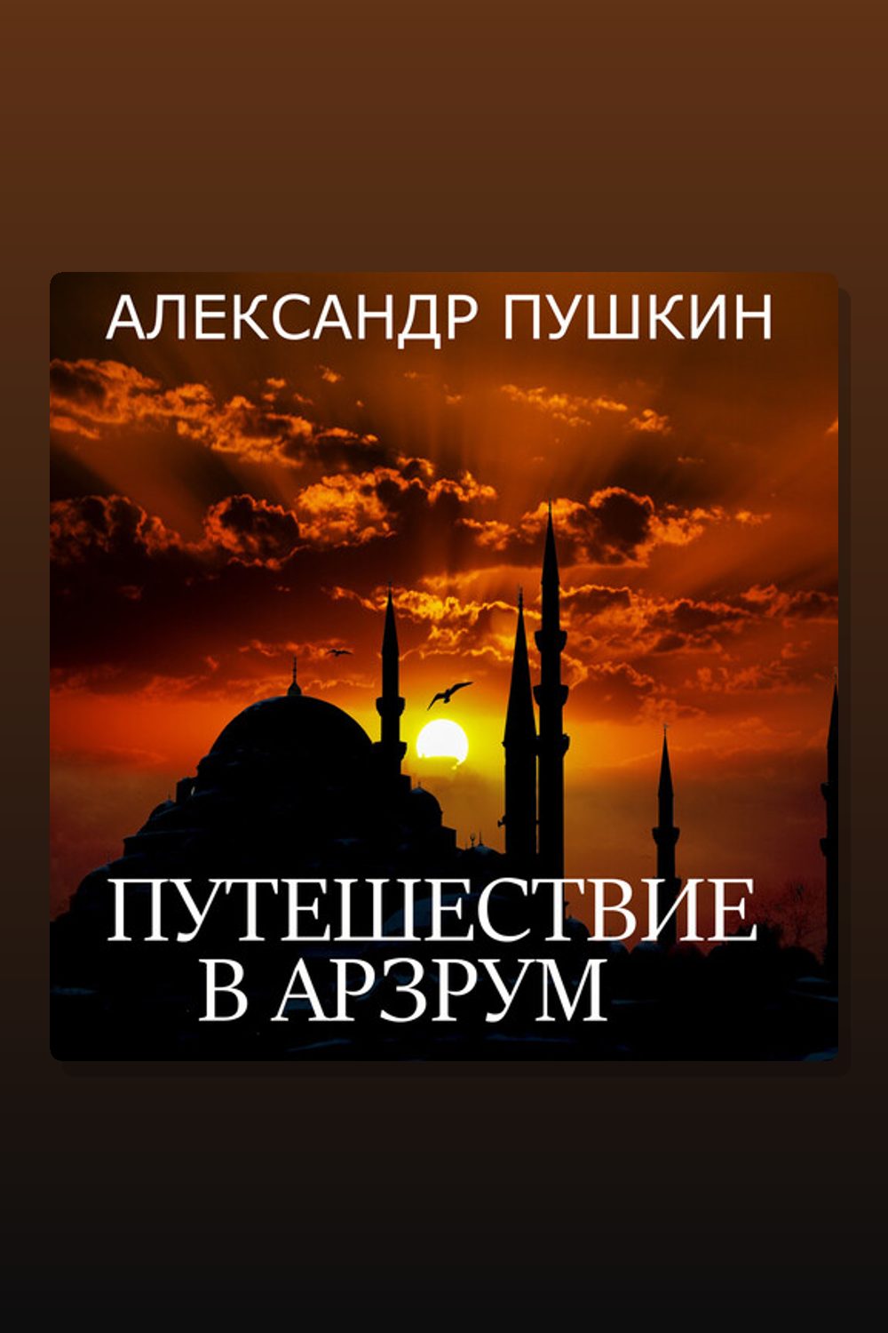 Путешествие в Арзрум Александр Пушкин