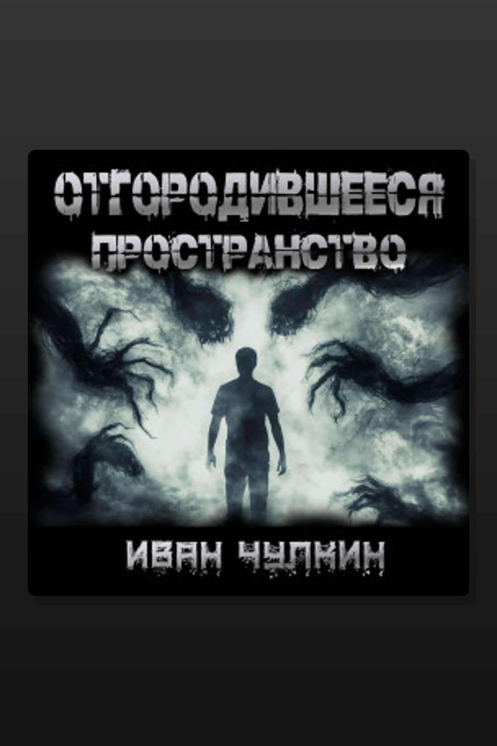 Обложка: Отгородившееся пространство — Иван Чулкин