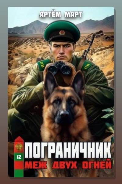 Пограничник. Том 12: Меж двух огней