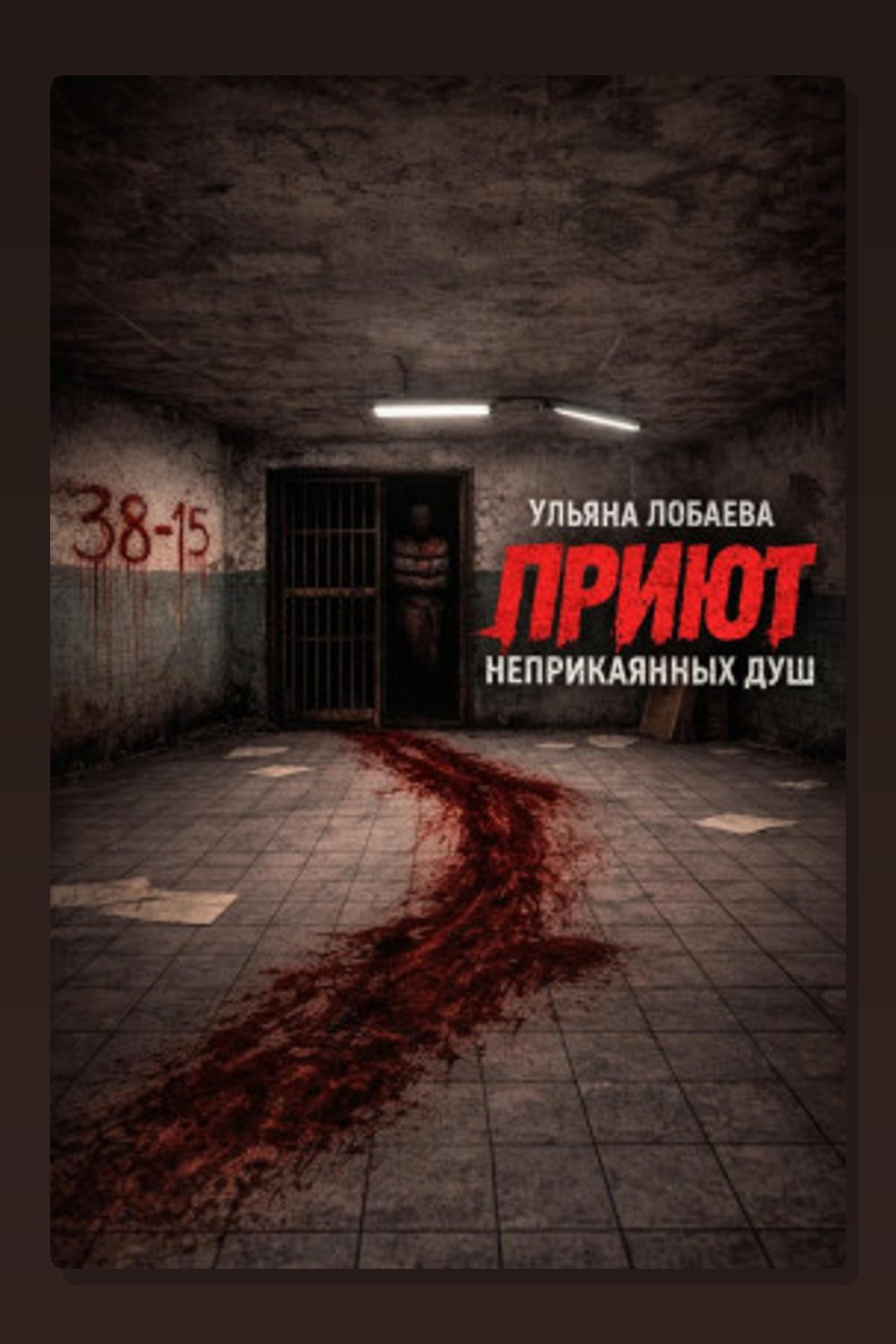 Обложка: Приют неприкаянных душ — Ульяна Лобаева