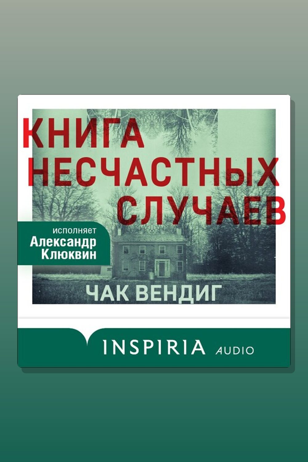 Книга несчастных случаев