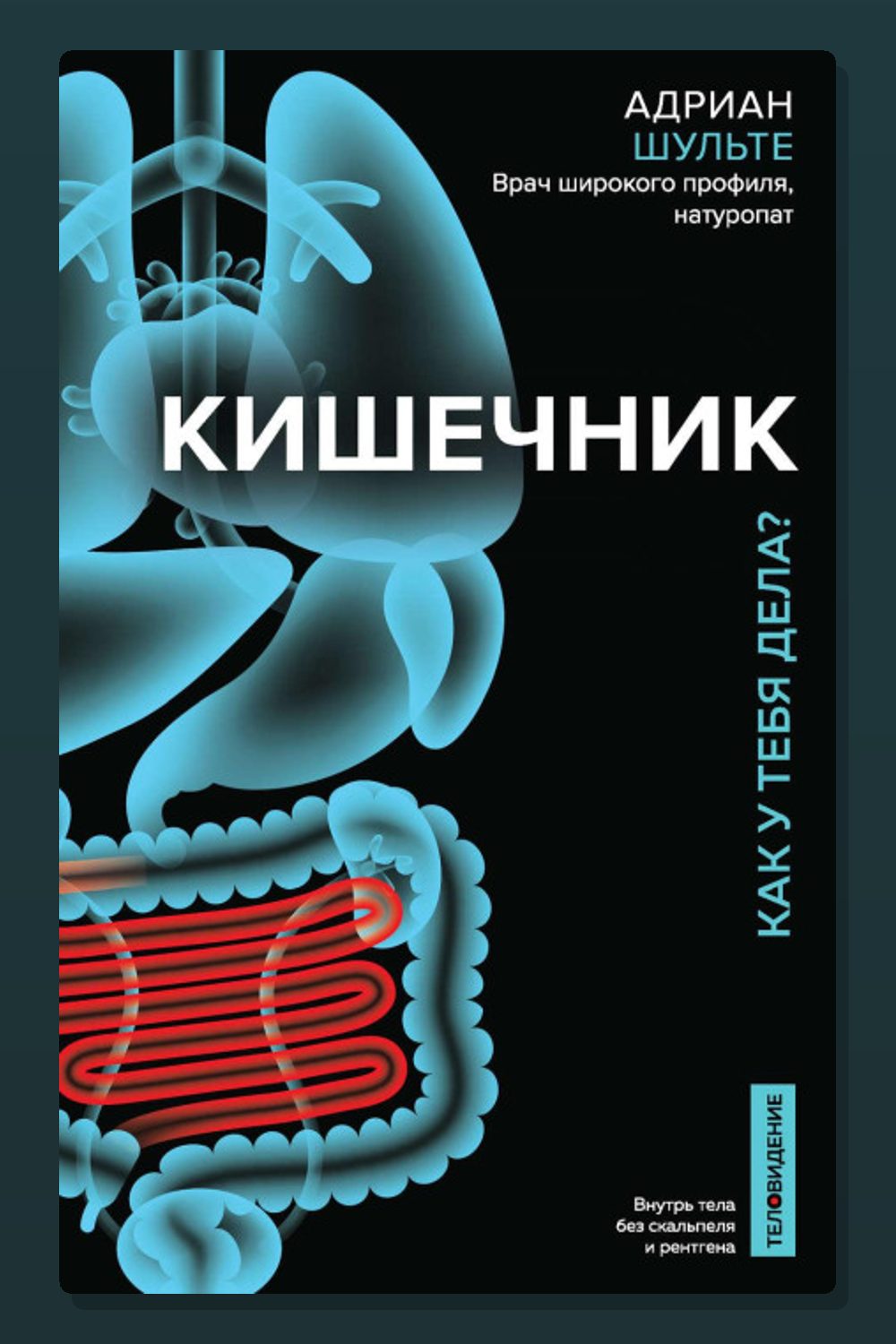 Обложка: Кишечник. Как у тебя дела? — Шульте Адриан