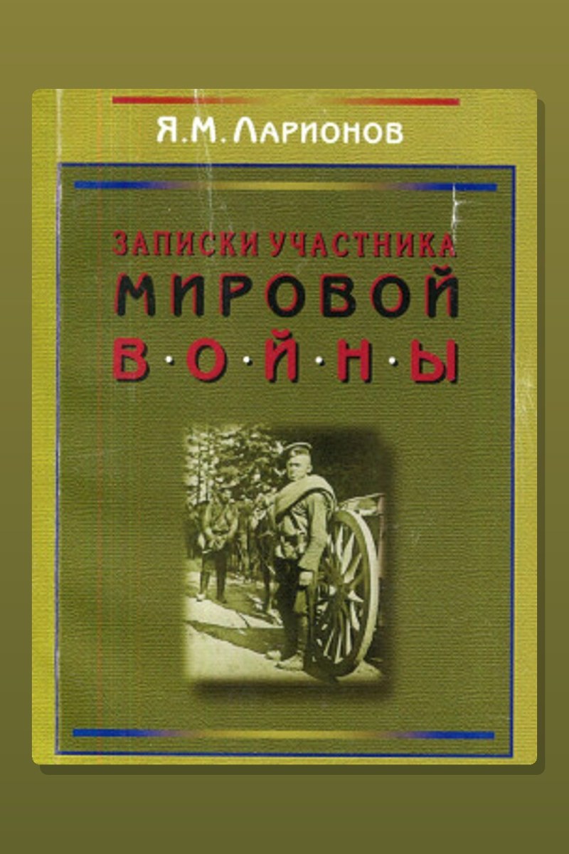 Записки участника мировой войны