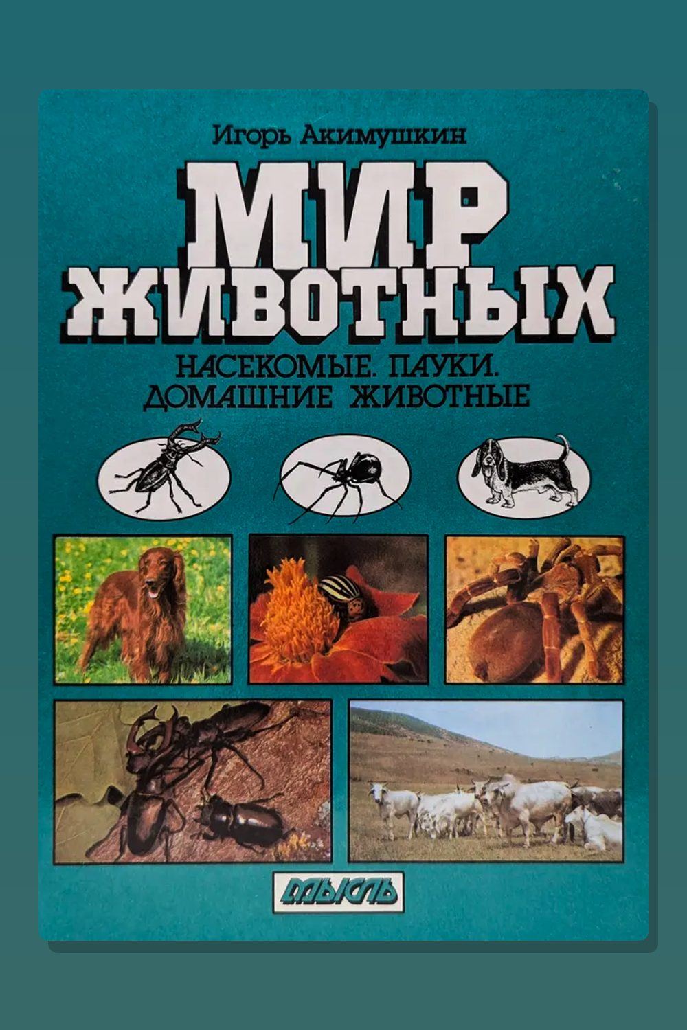 Обложка: Насекомые. Пауки. Домашние животные — Игорь Акимушкин