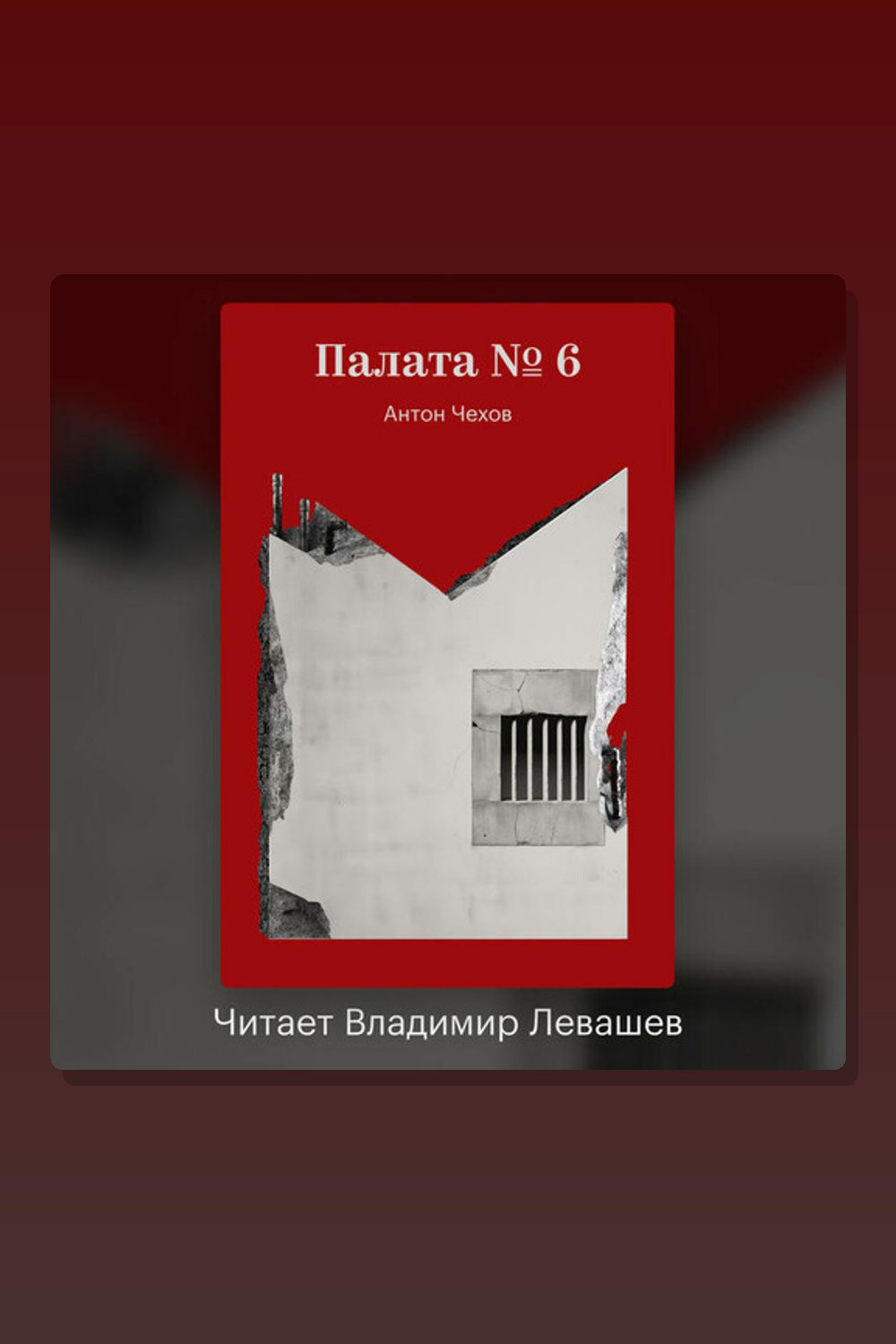 Палата №6