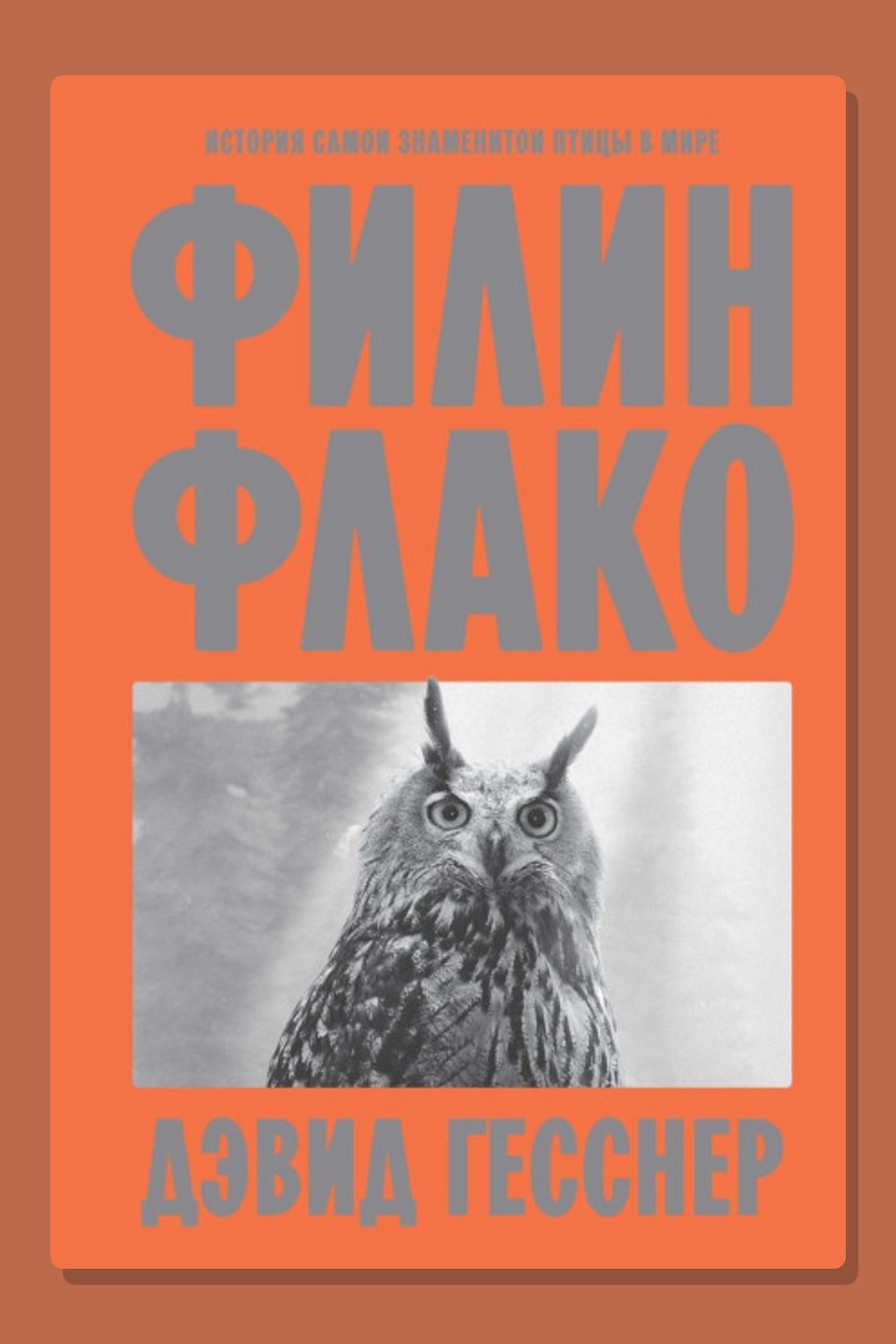 Филин Флако. История самой знаменитой птицы в мире