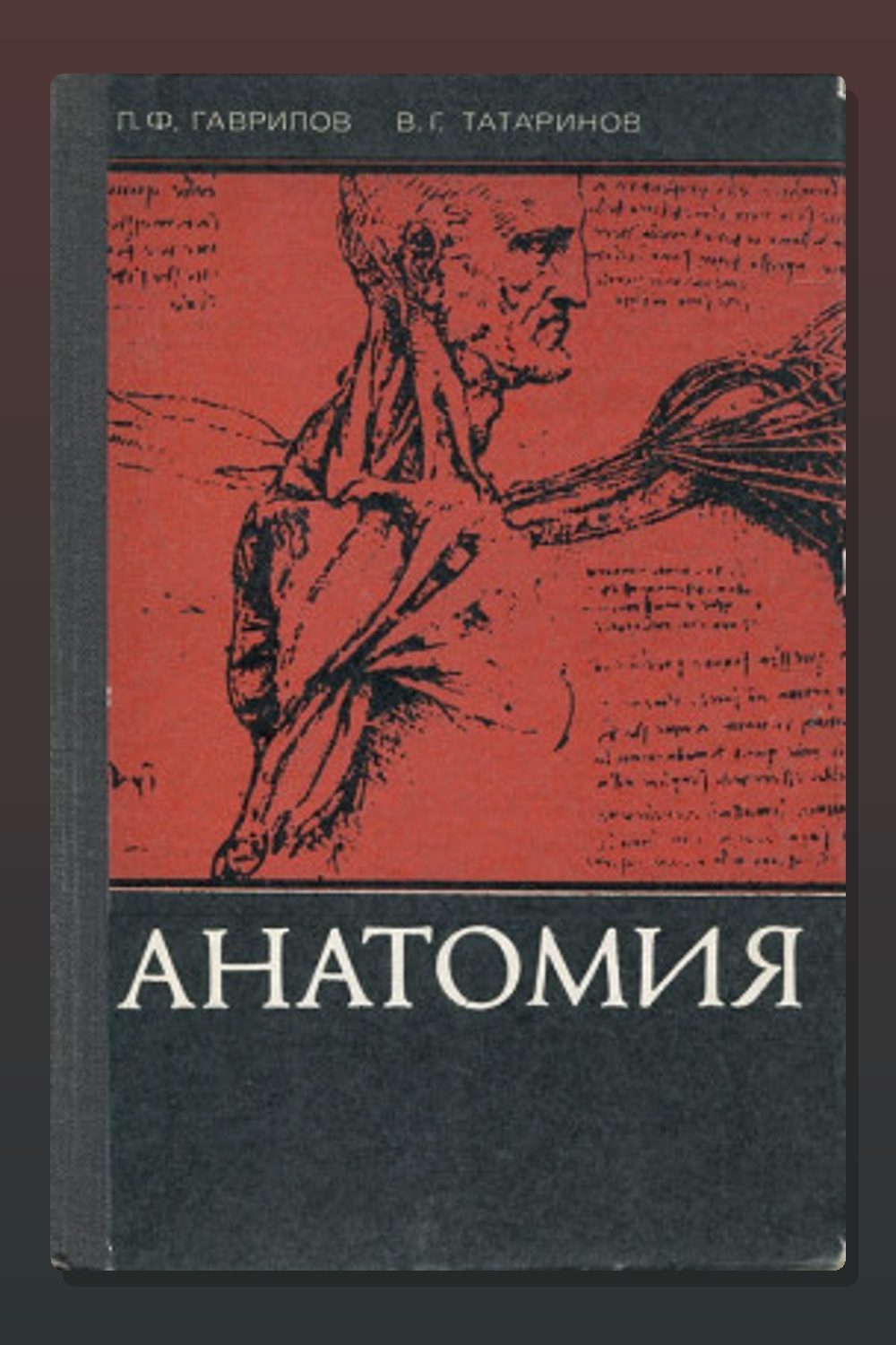 Анатомия