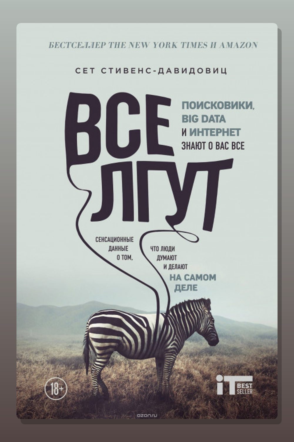 Все лгут. Поисковики, Big Data и Интернет знают о вас всё