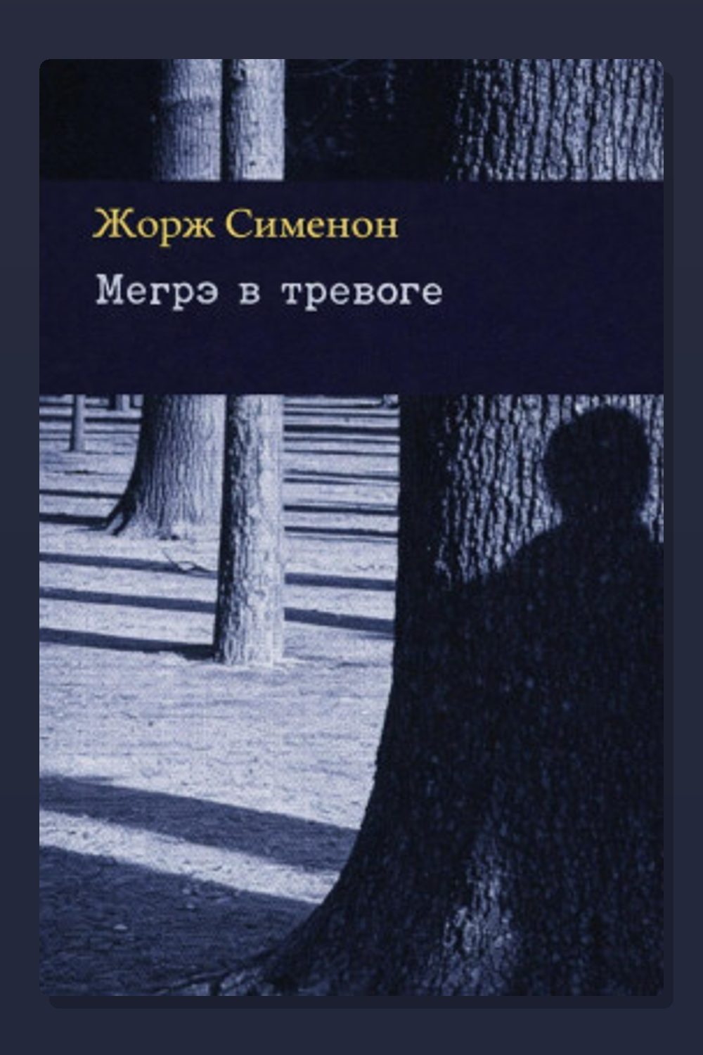 Мегрэ в тревоге