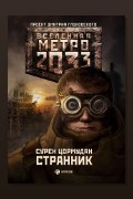 Обложка: Метро 2033: Странник — Сурен Цормудян