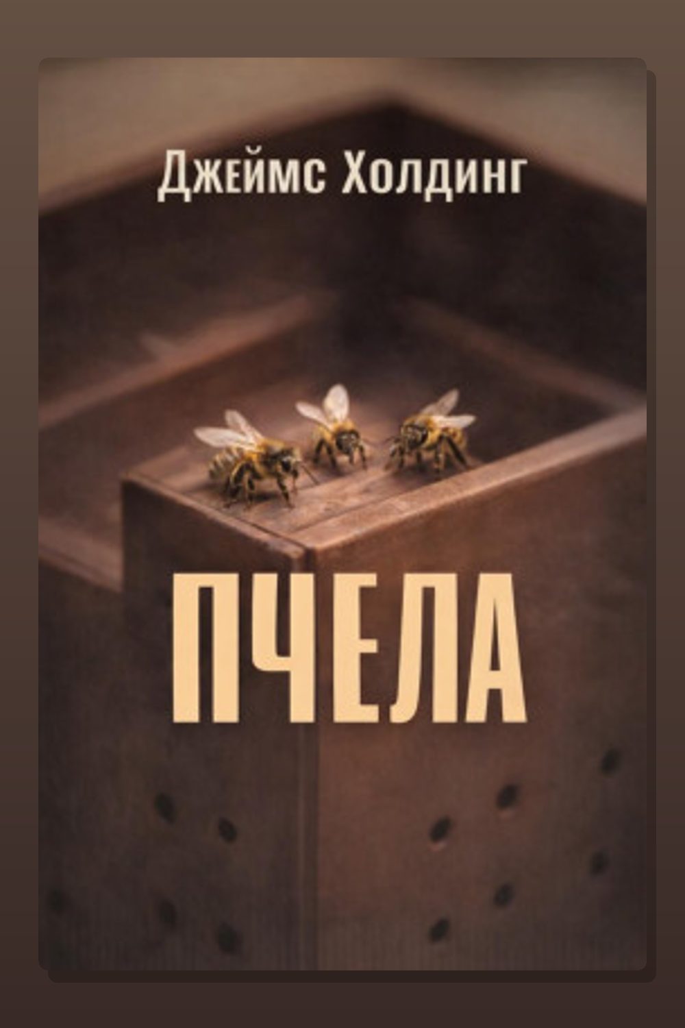 Обложка: Пчела — Джеймс Холдинг