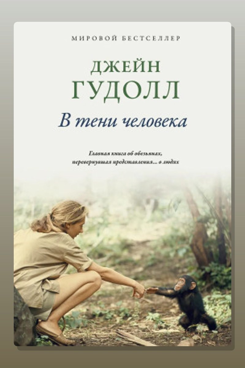 В тени человека