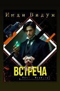 Обложка: Петя и Валерон. Книга 7. Встреча — Инди Видум